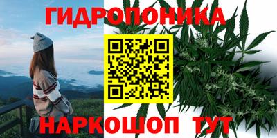 круглые Будённовск