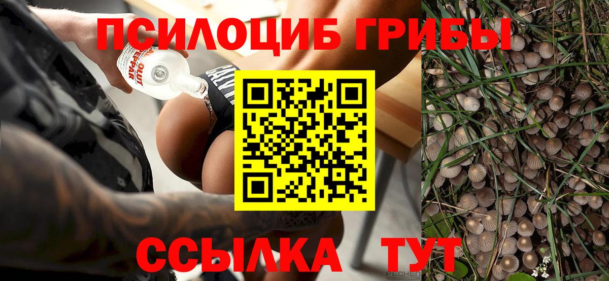 Псилоцибиновые грибы ЛСД  Галлюциногенные грибы Psilocybe  Вход с VPN  Первоуральск 